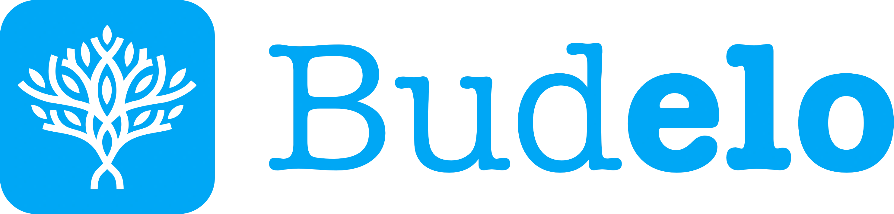 Budelo Ltd Logo